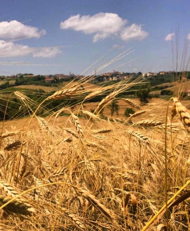 Agriturismo La Corte Del Sole Siena Buitenkant foto