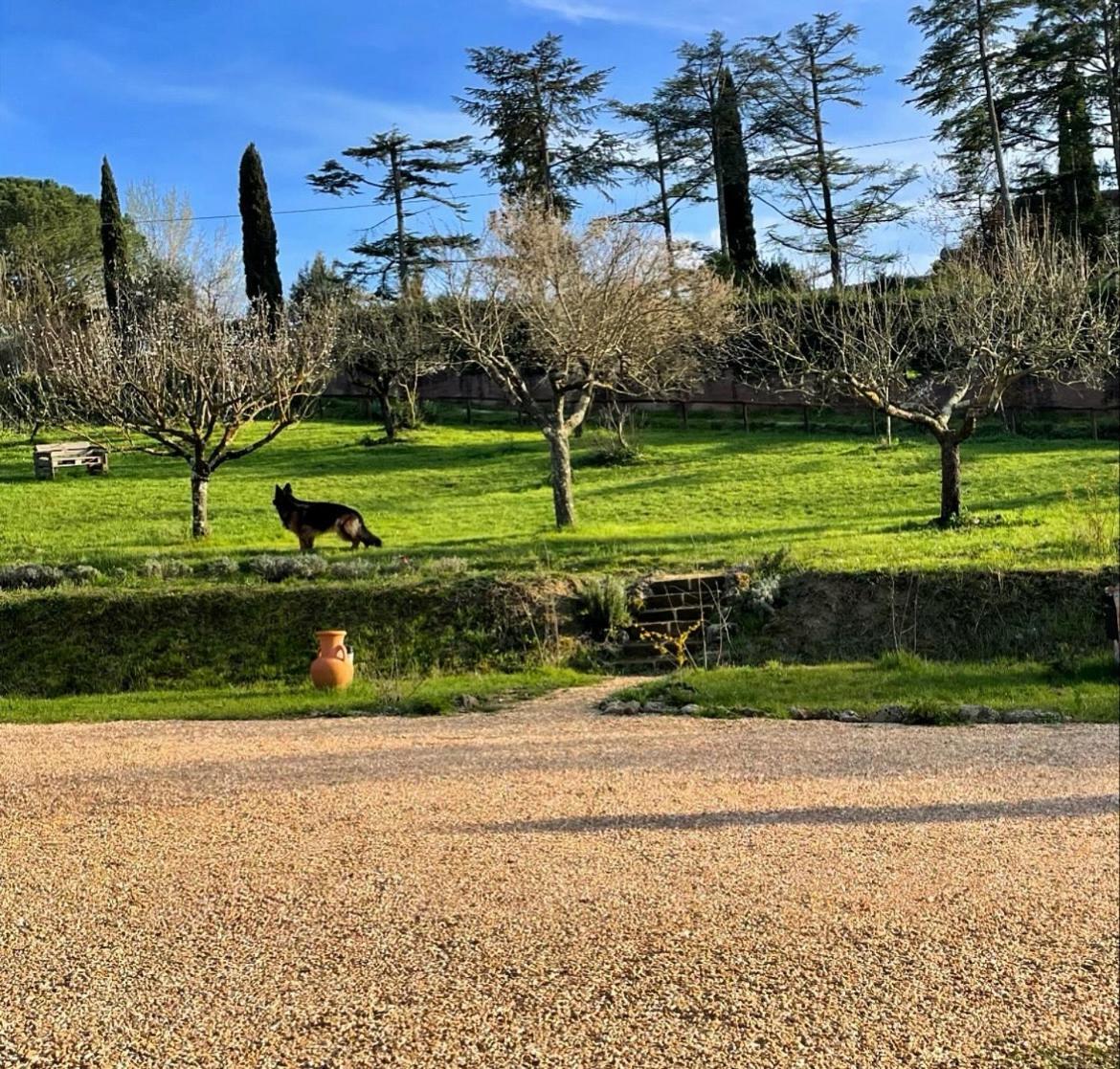 Agriturismo La Corte Del Sole Siena Buitenkant foto