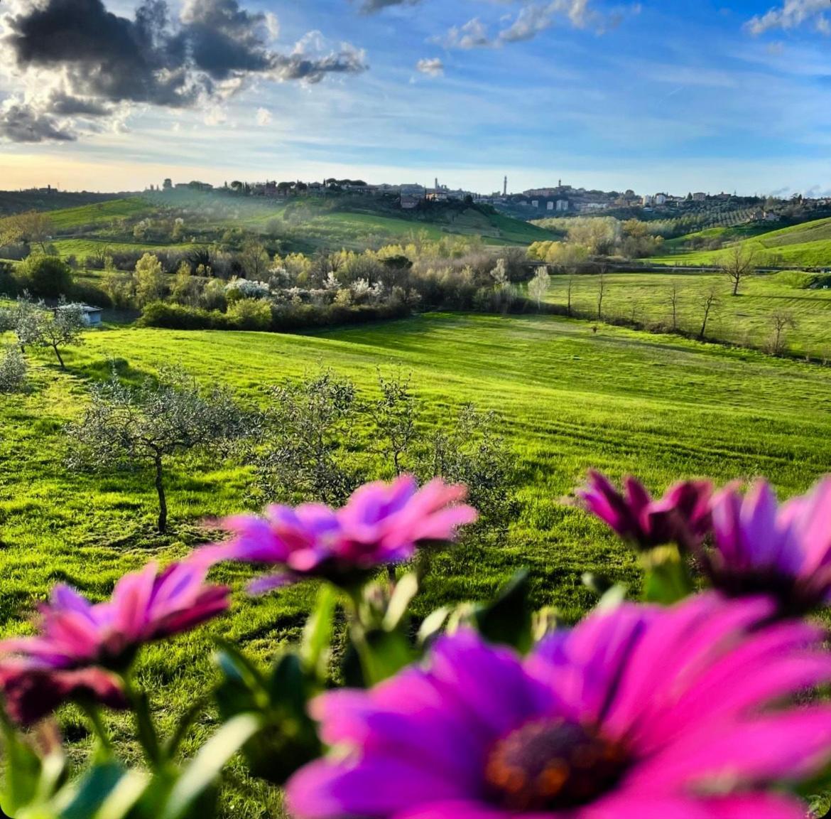 Agriturismo La Corte Del Sole Siena Buitenkant foto