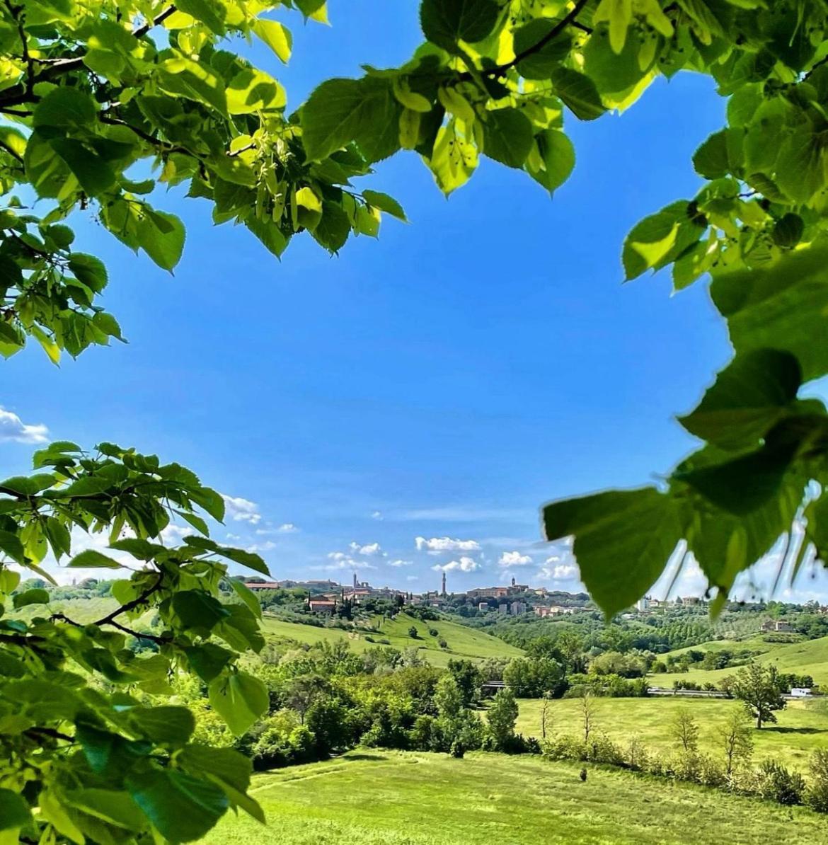 Agriturismo La Corte Del Sole Siena Buitenkant foto