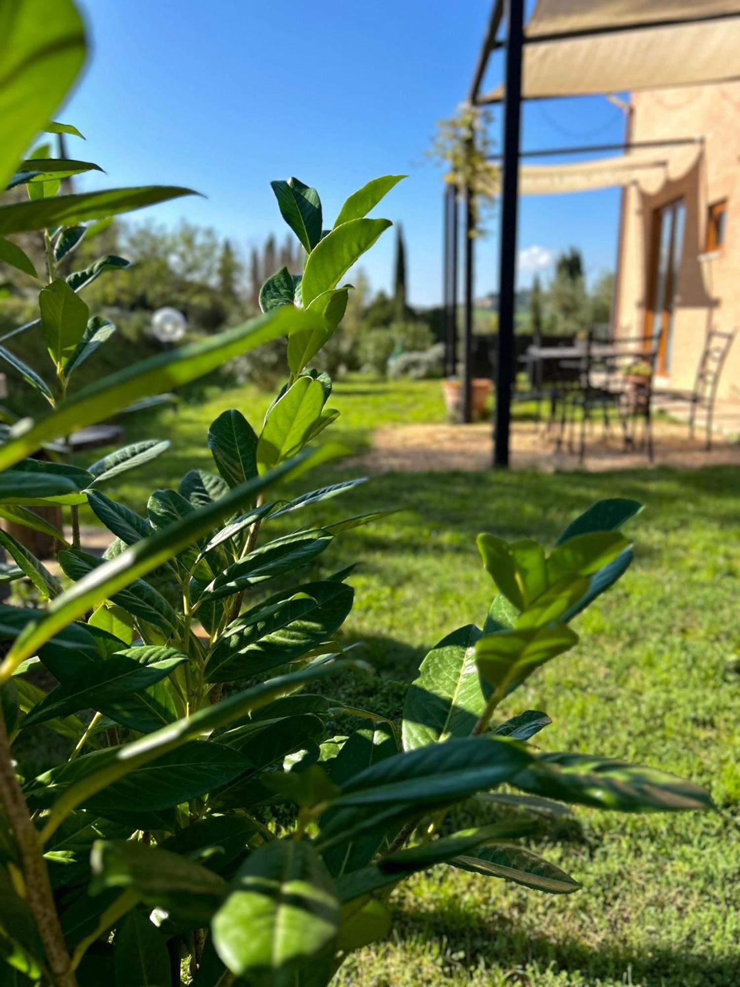 Agriturismo La Corte Del Sole Siena Buitenkant foto