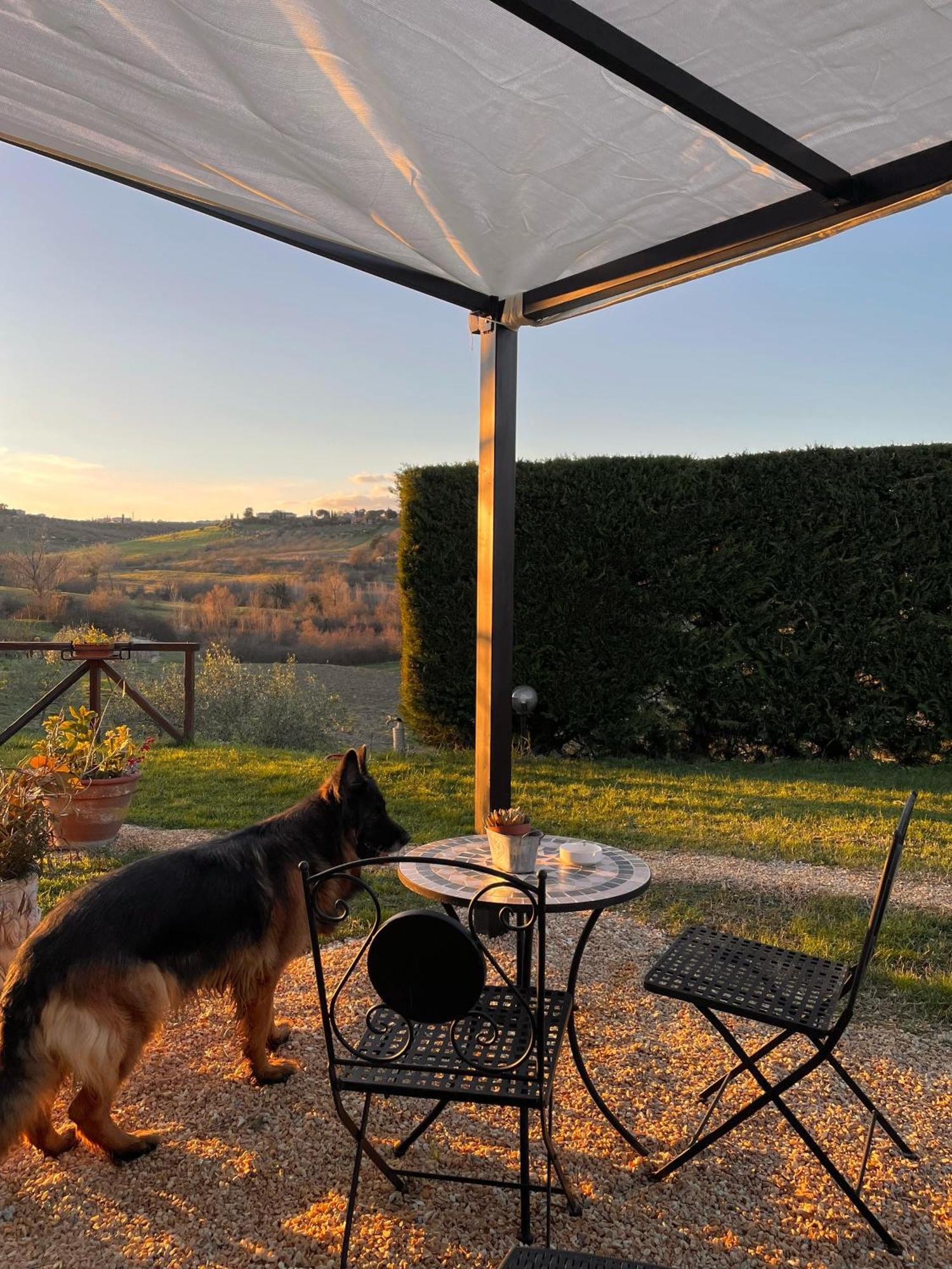 Agriturismo La Corte Del Sole Siena Buitenkant foto