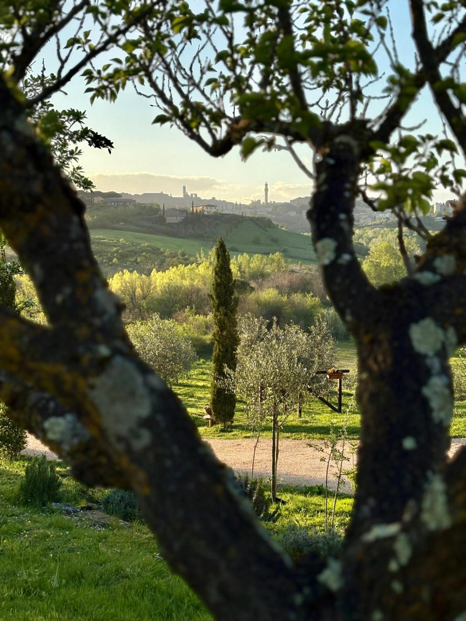 Agriturismo La Corte Del Sole Siena Buitenkant foto