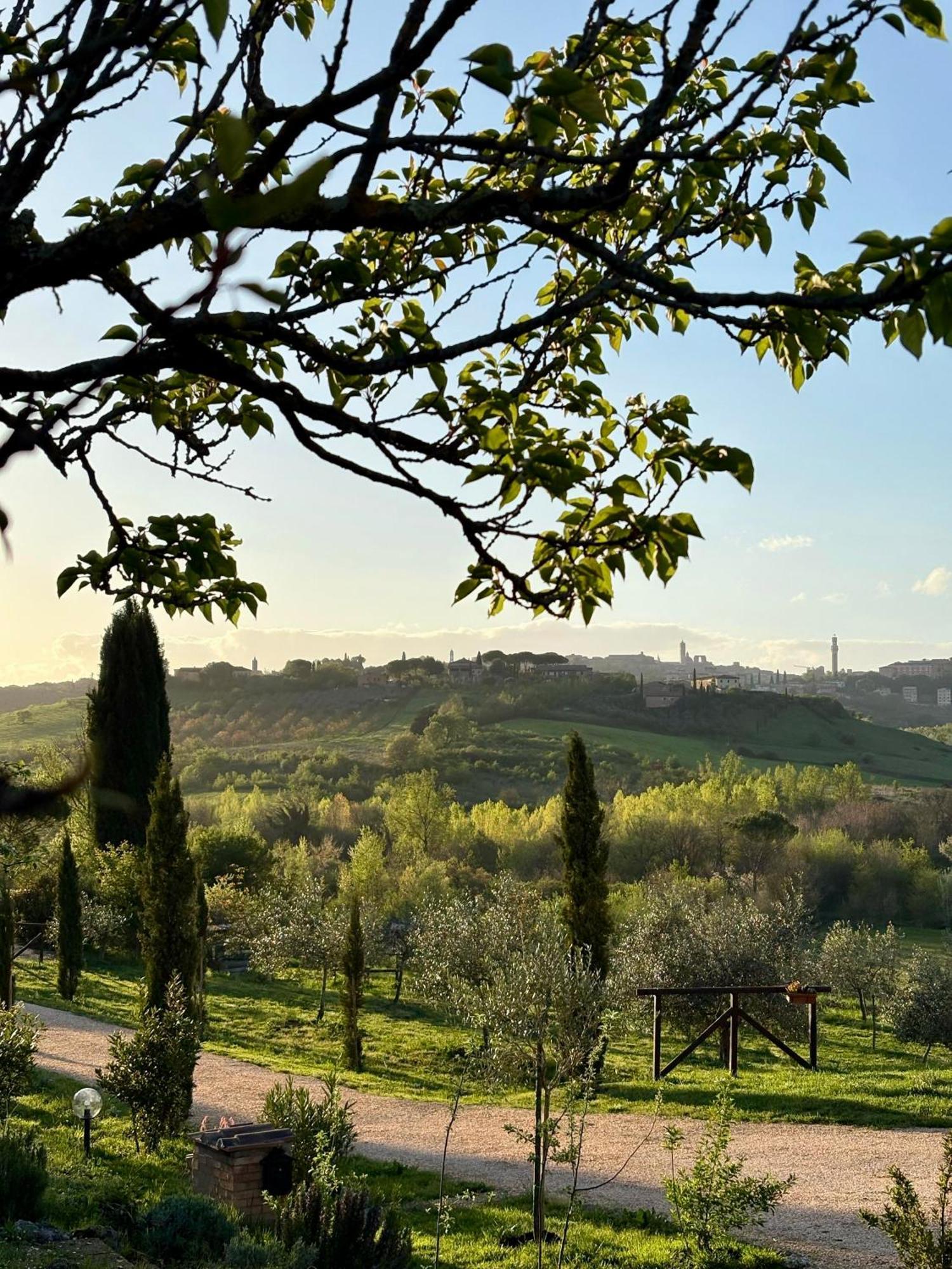 Agriturismo La Corte Del Sole Siena Buitenkant foto